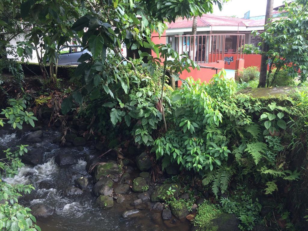 La Fortuna Hostel Rio Danta المظهر الخارجي الصورة