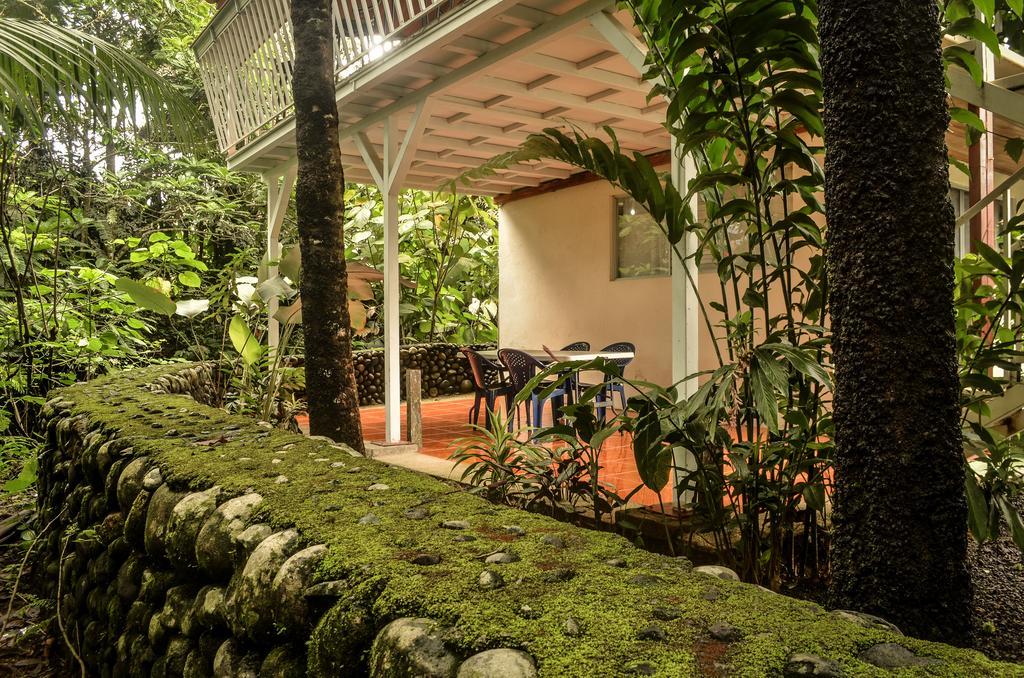 La Fortuna Hostel Rio Danta المظهر الخارجي الصورة