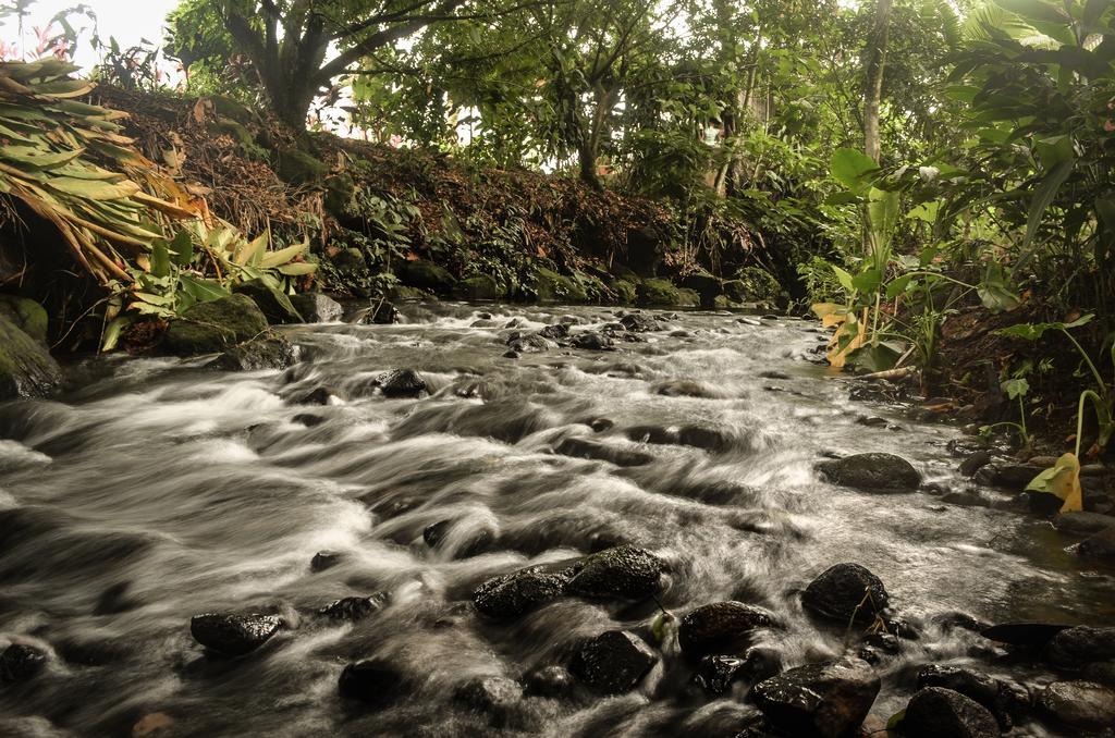 La Fortuna Hostel Rio Danta المظهر الخارجي الصورة