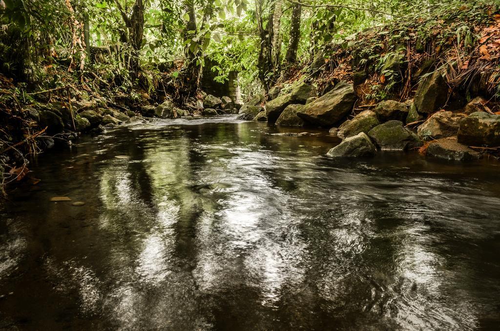 La Fortuna Hostel Rio Danta المظهر الخارجي الصورة