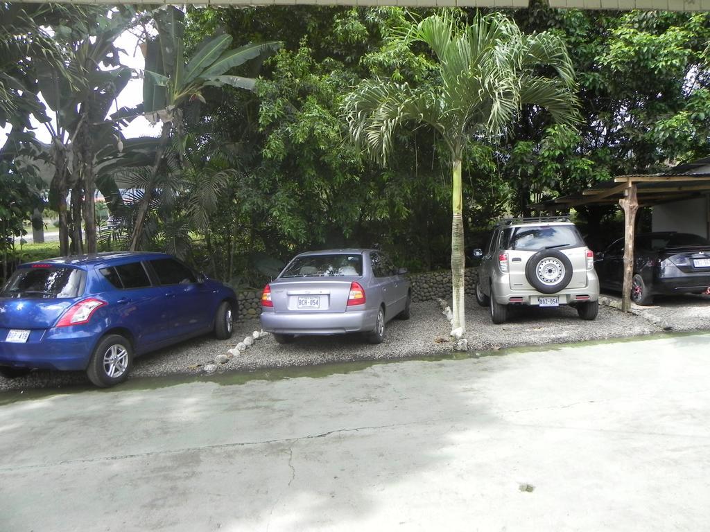 La Fortuna Hostel Rio Danta المظهر الخارجي الصورة